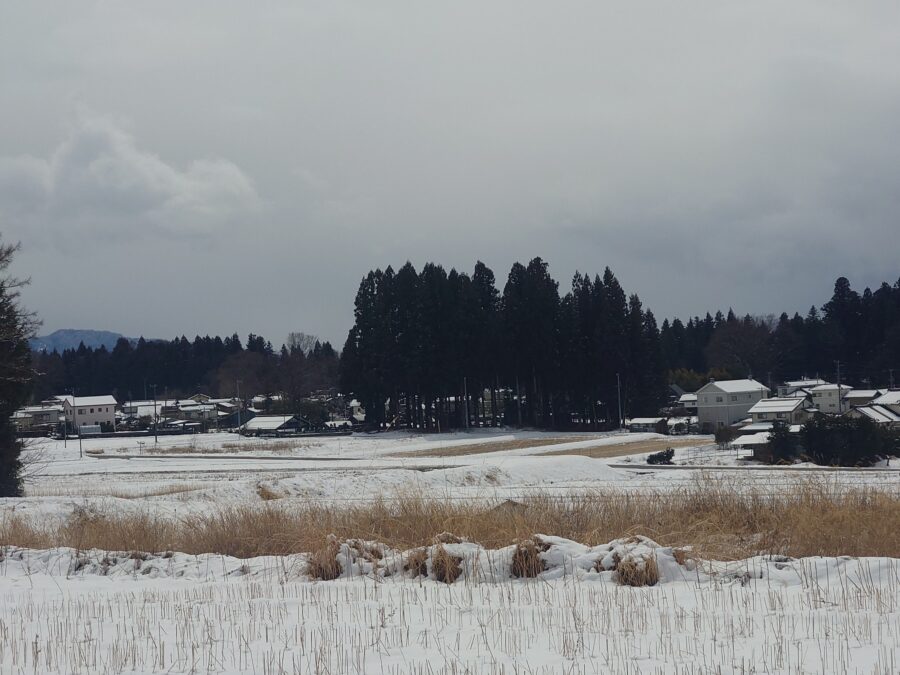 20250319　雪景色の八ツ手地区