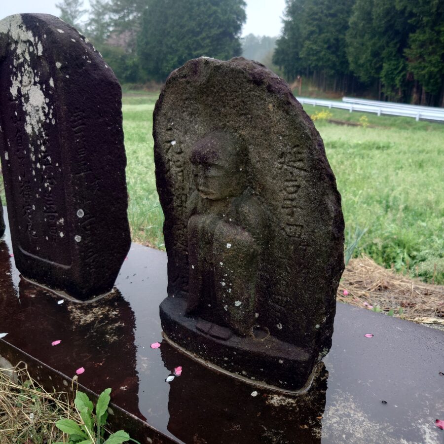 20250423　八ツ手地区　菜の花畑と花桃の見える場所