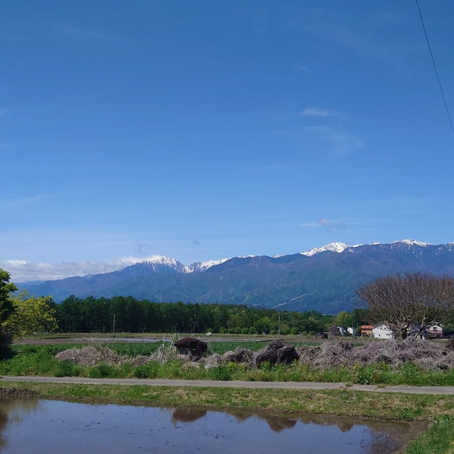20250511　中央アルプス連峰②