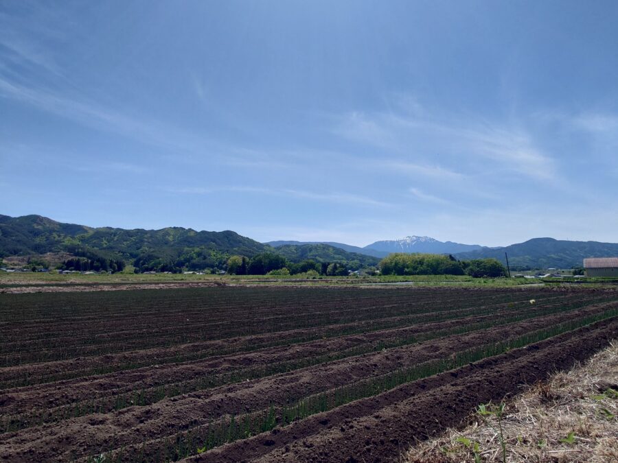 20250511　仙丈ケ岳と畑