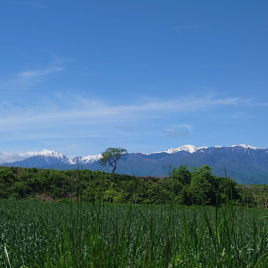 20250511　中央アルプス連峰⑤