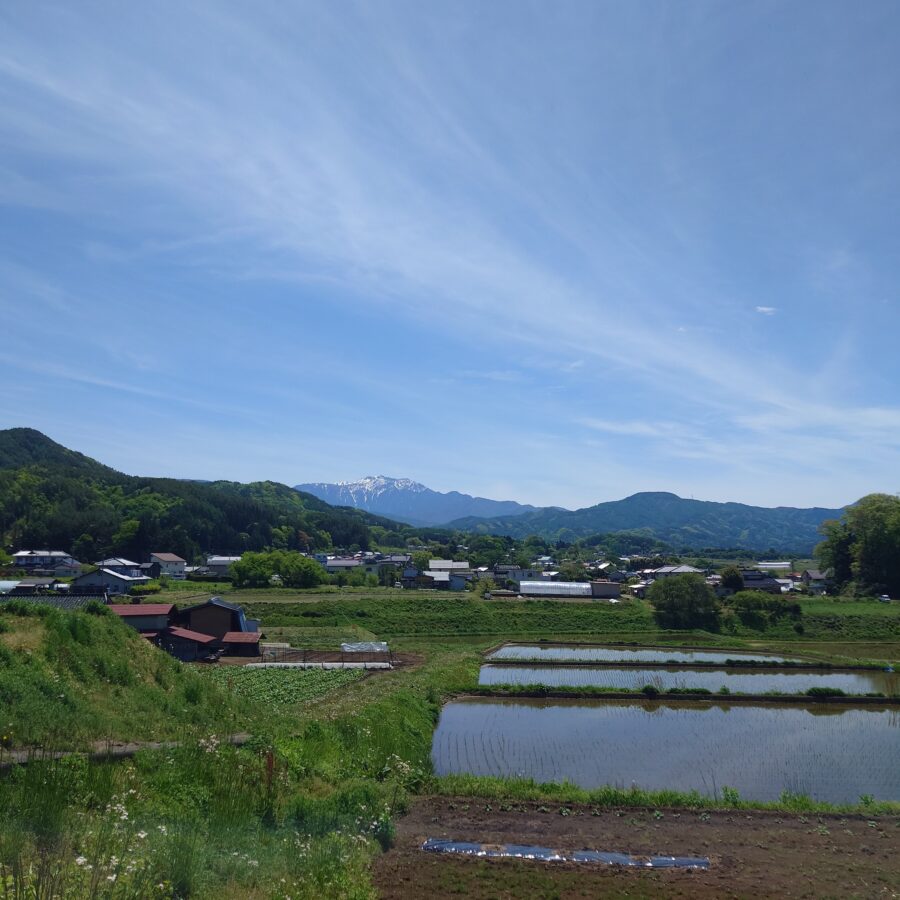 20250511　仙丈ケ岳②