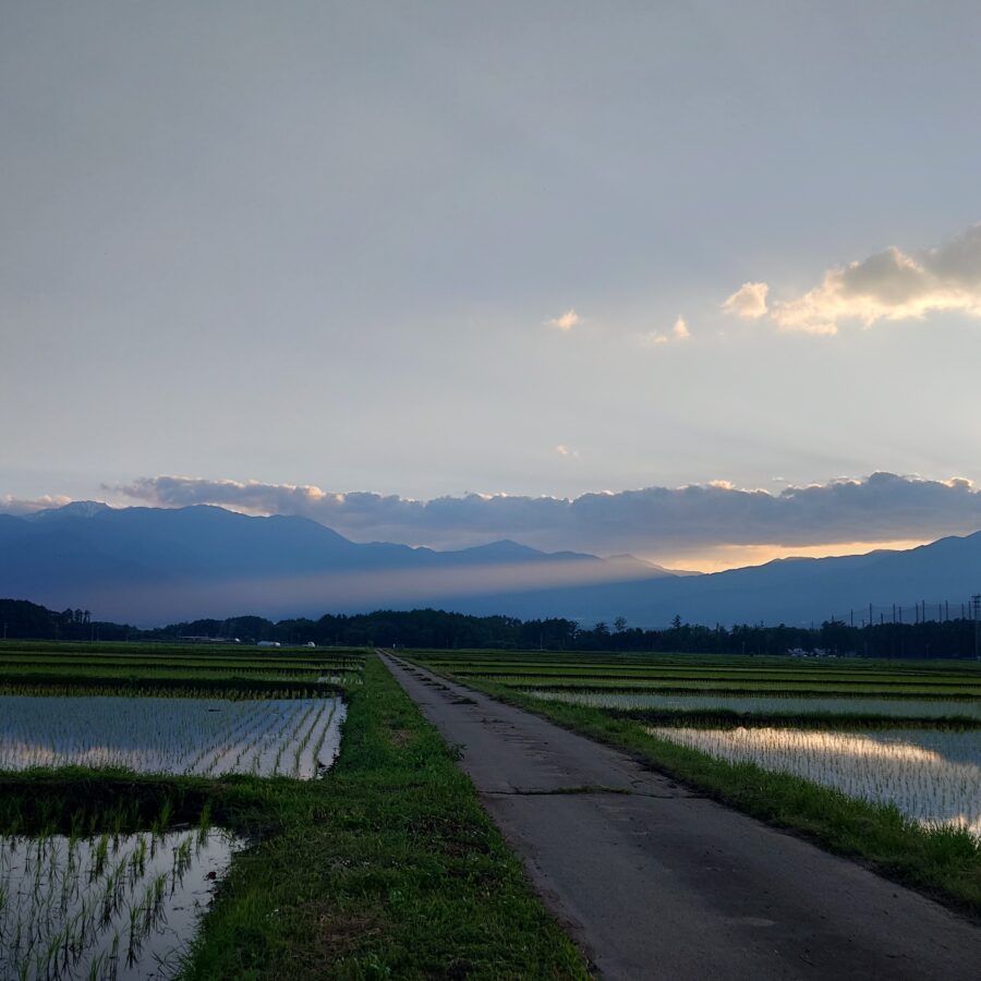 20250604　夕方の天使の梯子