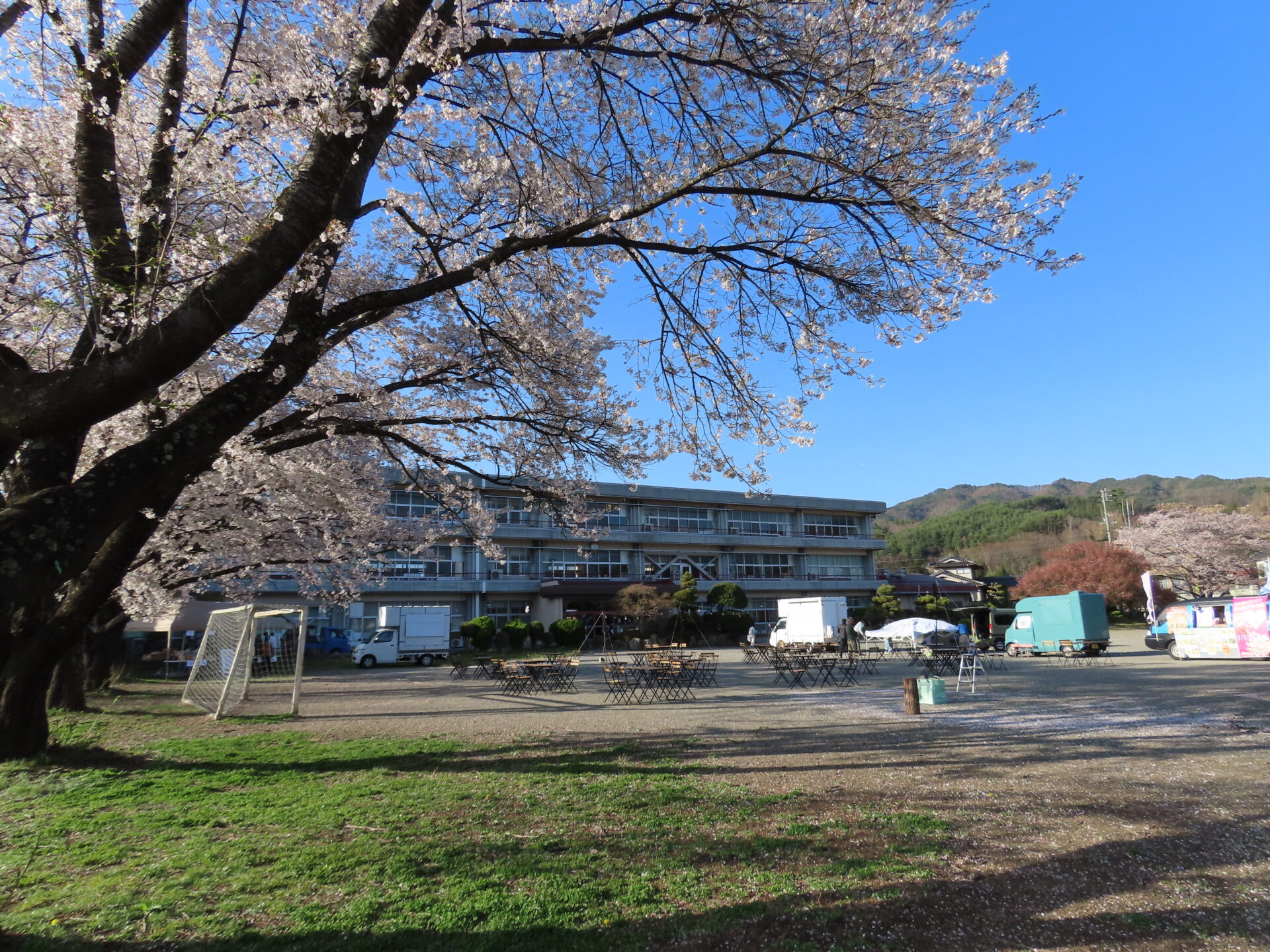 20260411　第3回 夜桜祭り
