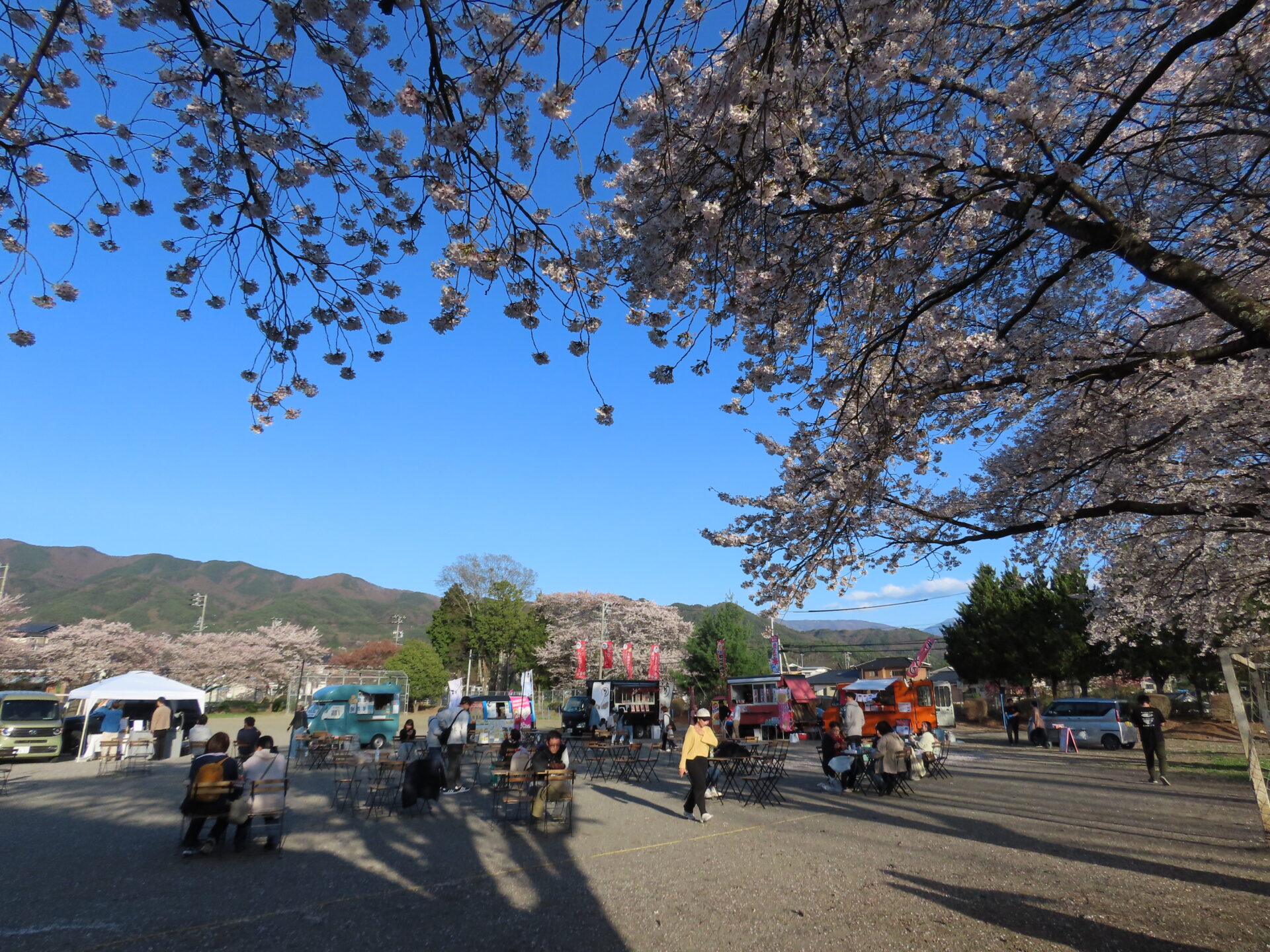 20260411　第3回 夜桜祭り