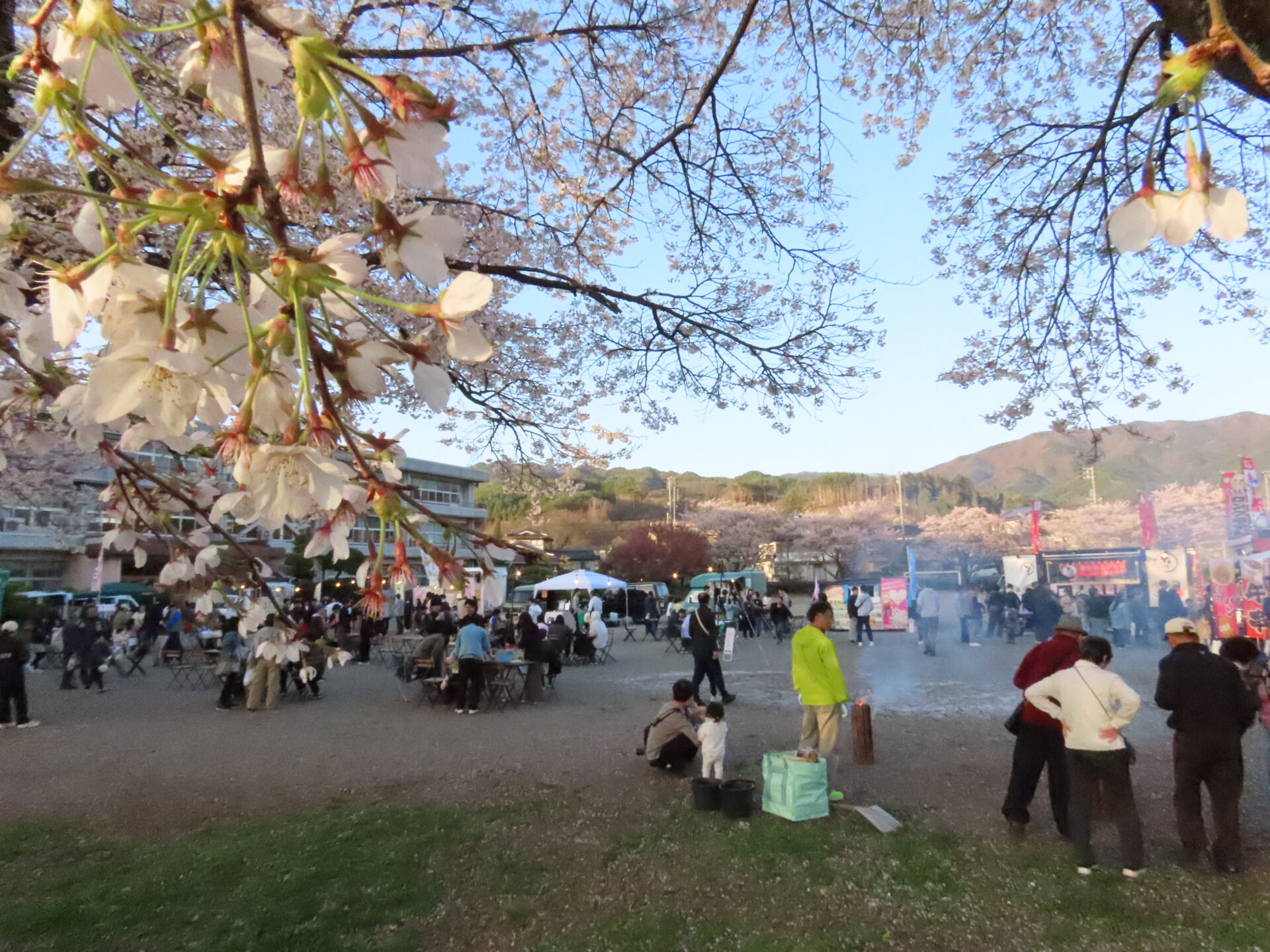 20260411　第3回 夜桜祭り