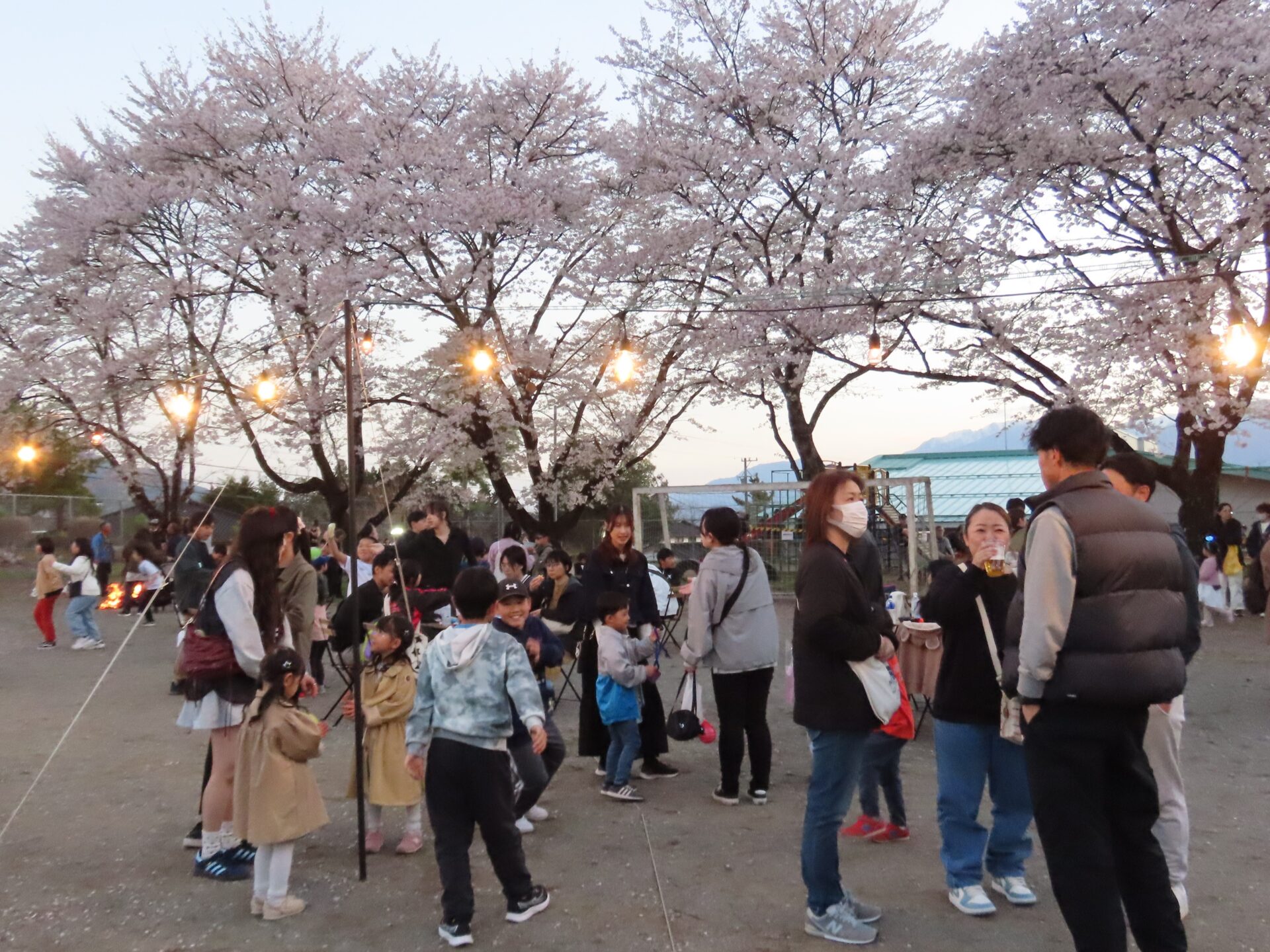 20260411　第3回 夜桜祭り