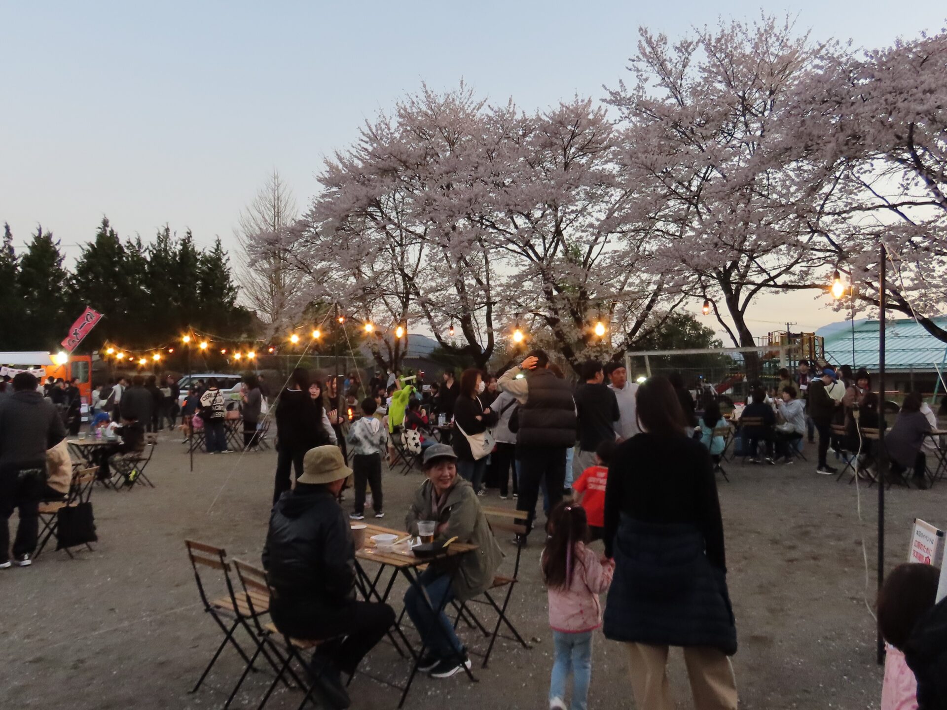 20260411　第3回 夜桜祭り