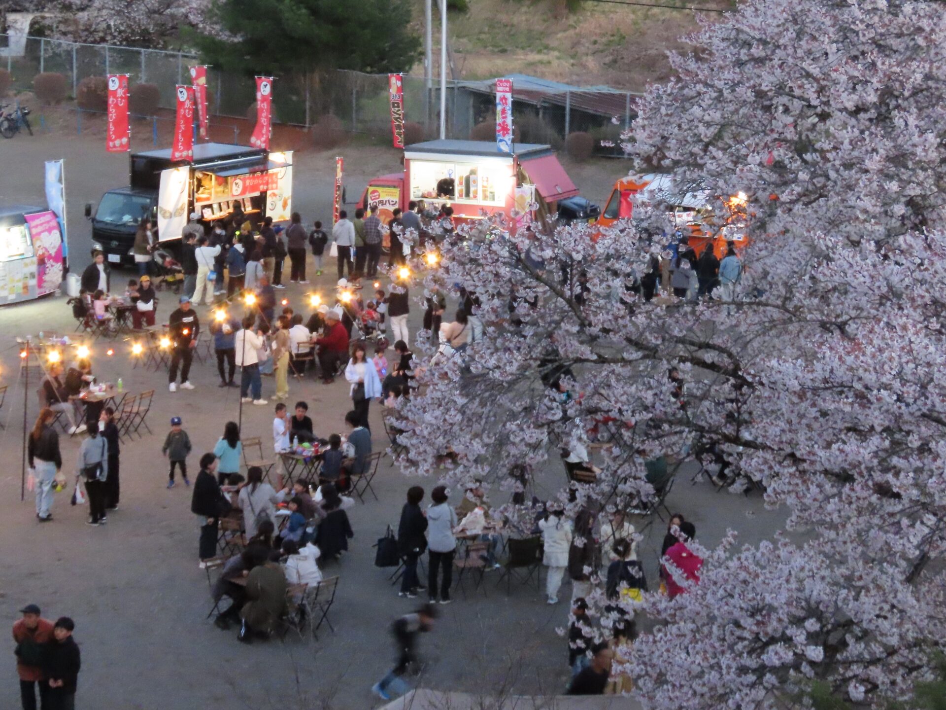 20260411　第3回 夜桜祭り