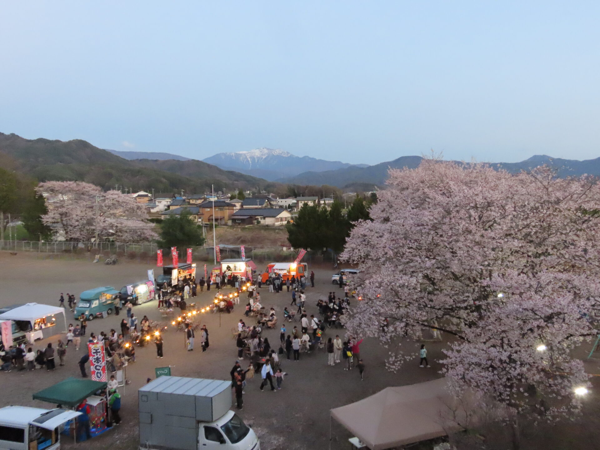 20260411　第3回 夜桜祭り