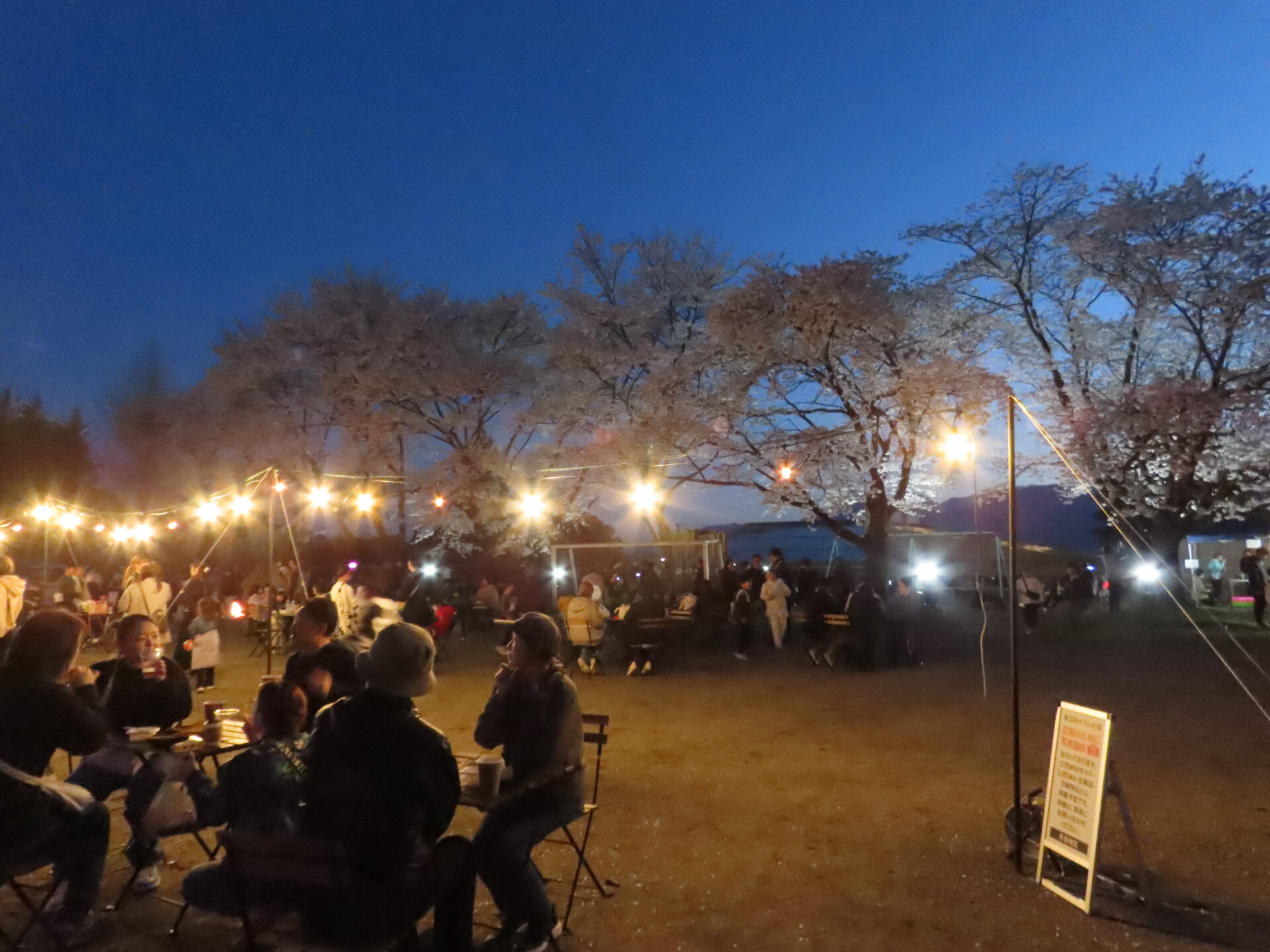 20260411　第3回 夜桜祭り