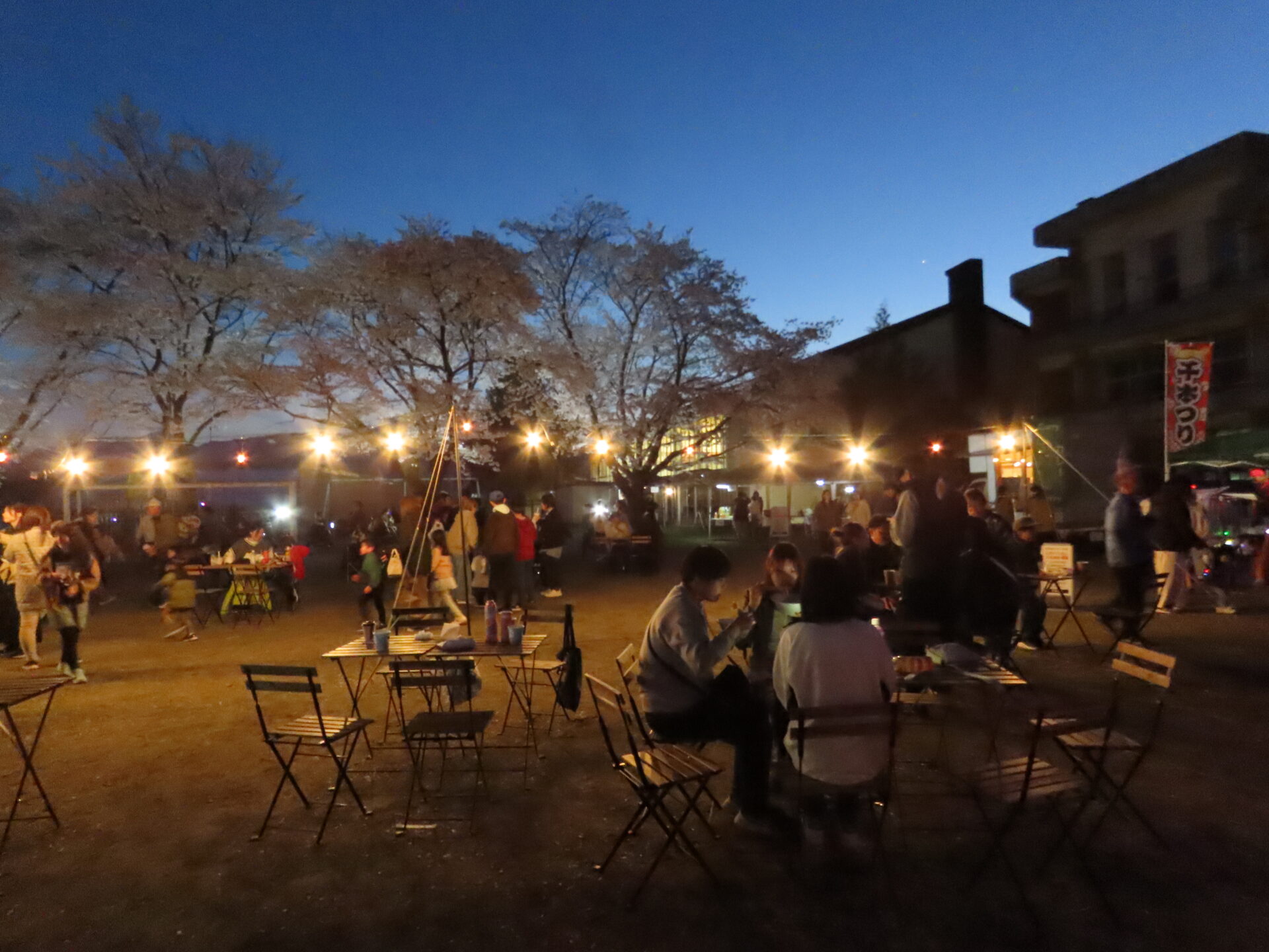 20260411　第3回 夜桜祭り