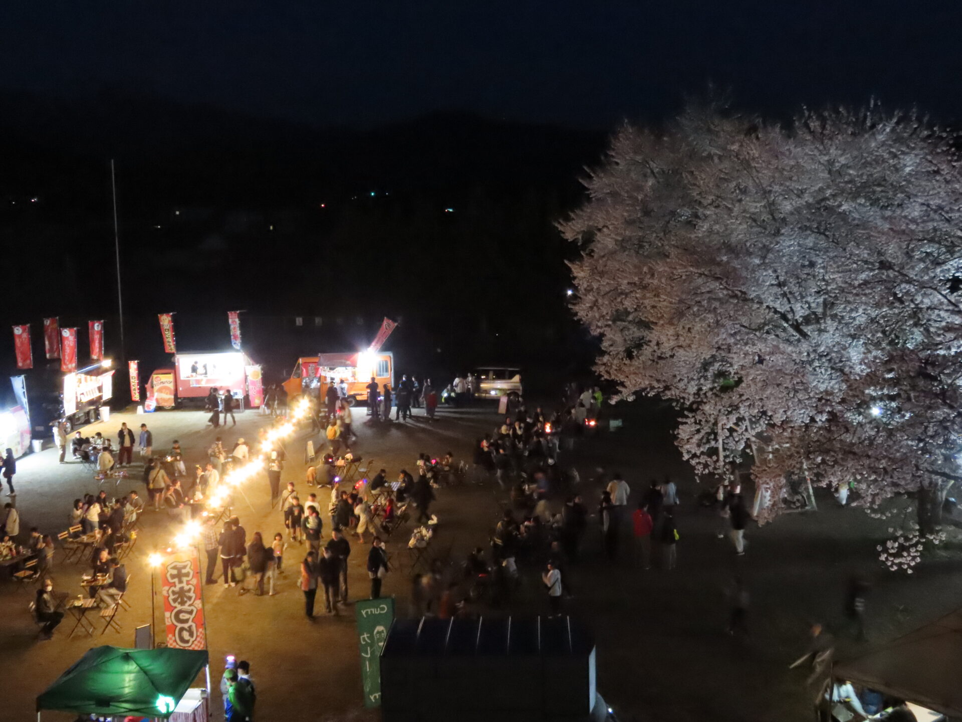 20260411　第3回 夜桜祭り