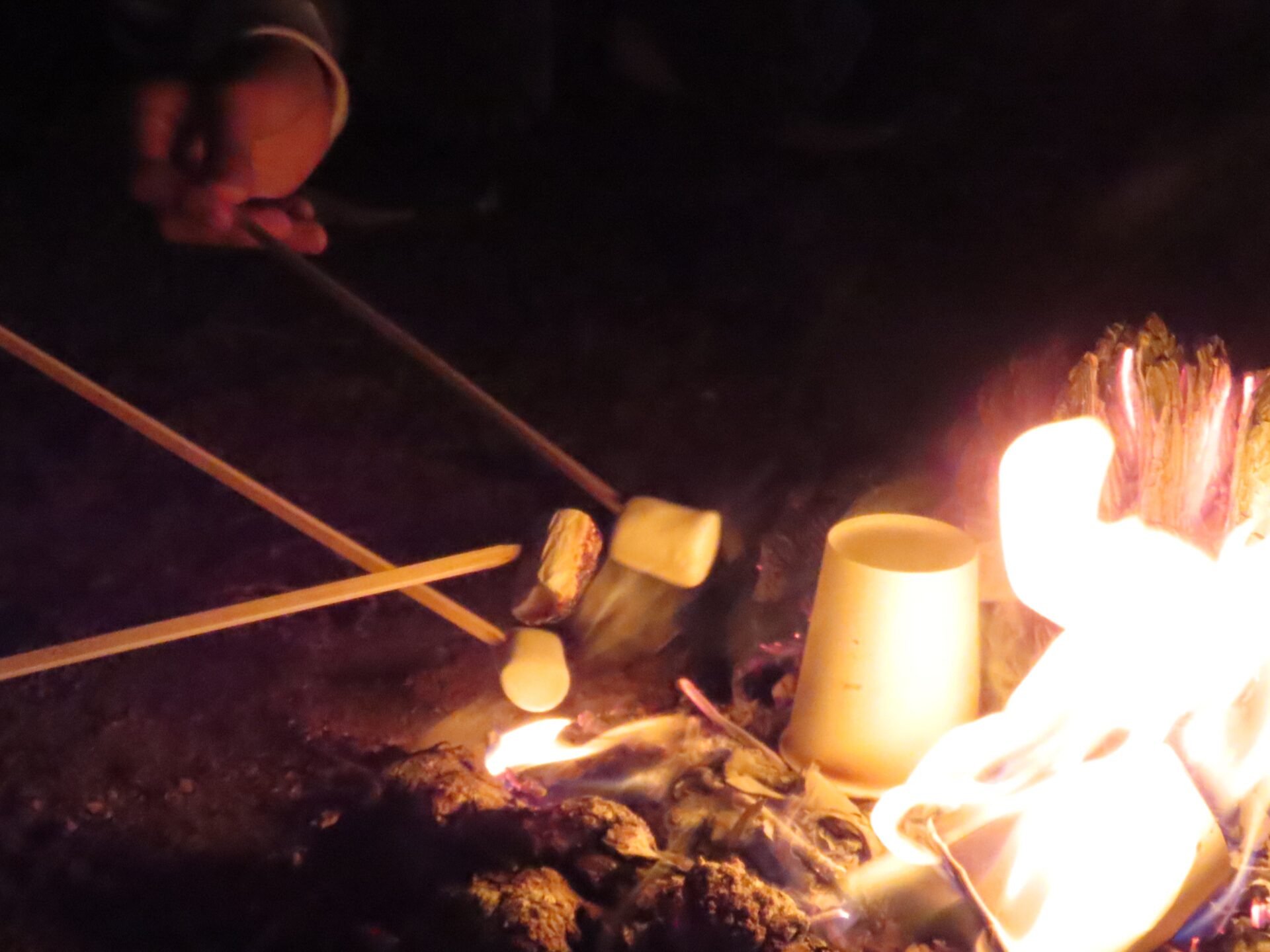 20260411　第3回 夜桜祭り